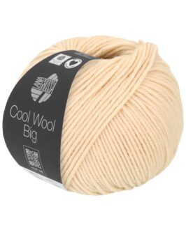 Cool Wool Big Uni <br>1016 Muschel
