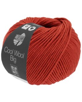 Cool Wool Big Mélange <br>1628 Rot Meliert