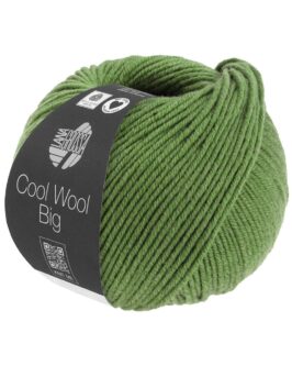 Cool Wool Big Mélange <br>1634 Grün Meliert