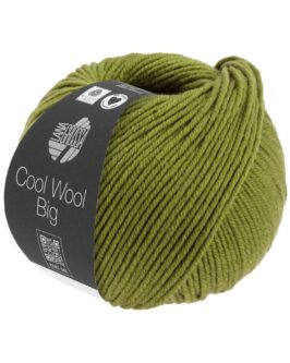 Cool Wool Big Uni <br>1021 Maigrün