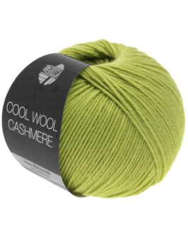 Cool Wool Cashmere <br />34 Kiwi
