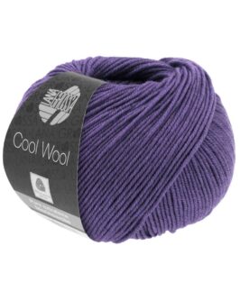Cool Wool Uni <br>2100 Rotviolett