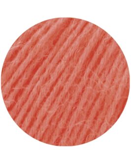 Ecopuno <br />39 Lachs