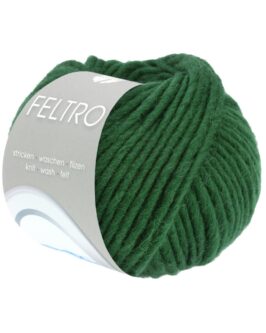 <span class="yarn-title">Feltro Uni</span> <span class="yarn-color">111 Flaschengrün</span>