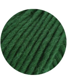<span class="yarn-title">Feltro Uni</span> <span class="yarn-color">111 Flaschengrün</span>