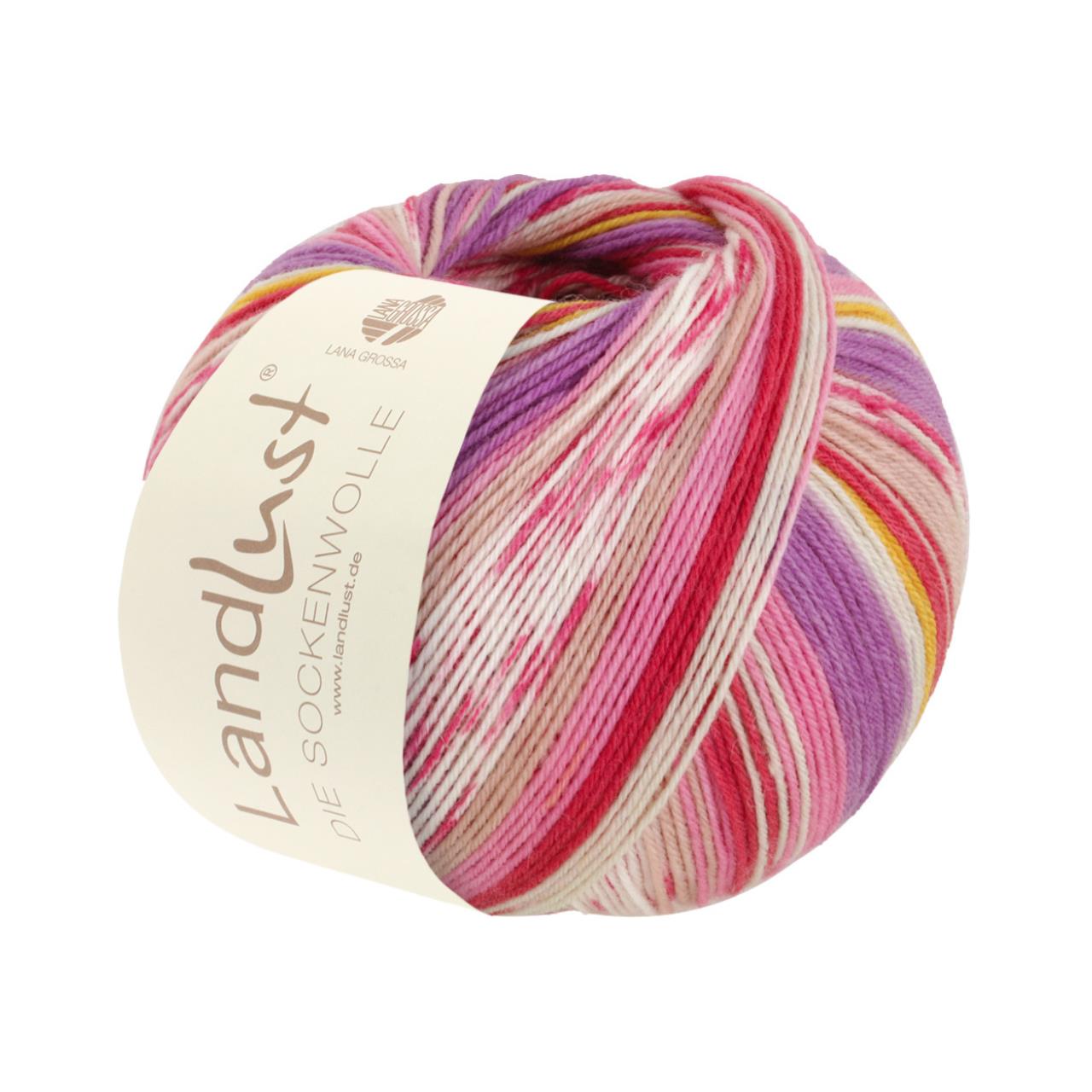 Landlust die Sockenwolle 315 Streifen/Jacquard