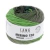 Merino 120 Dégradé 2 Grün